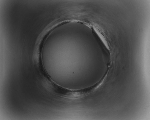 X0000088850295200706151722