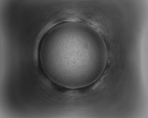 X0000088850296200706151722