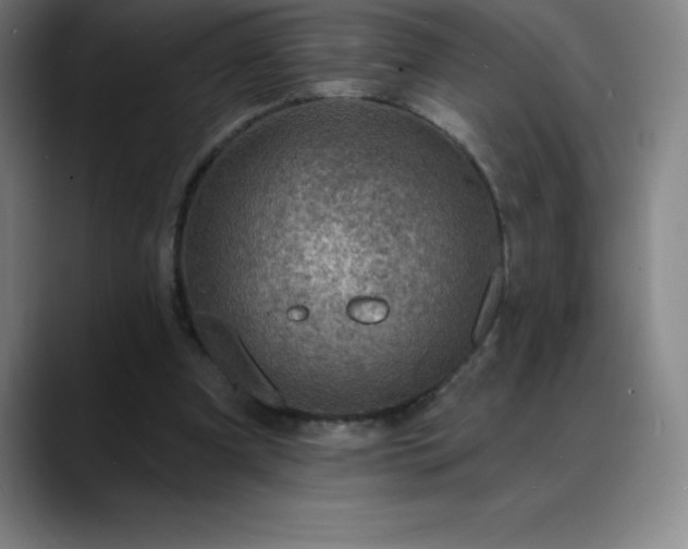 X0000088850297200706151722