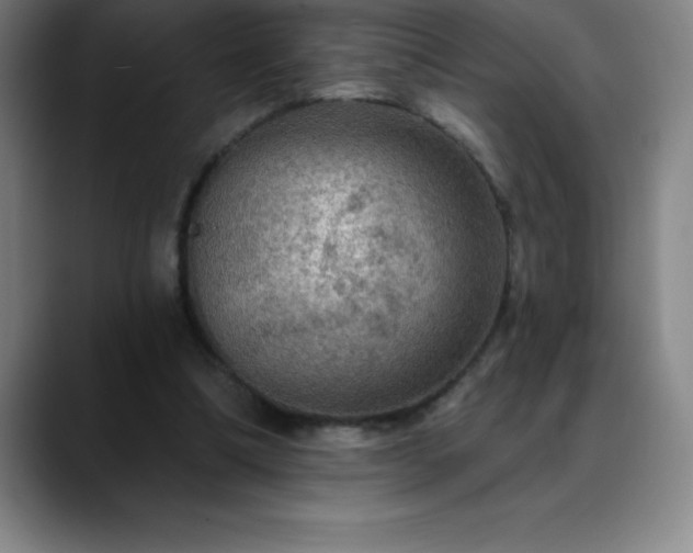 X0000088850298200706151722