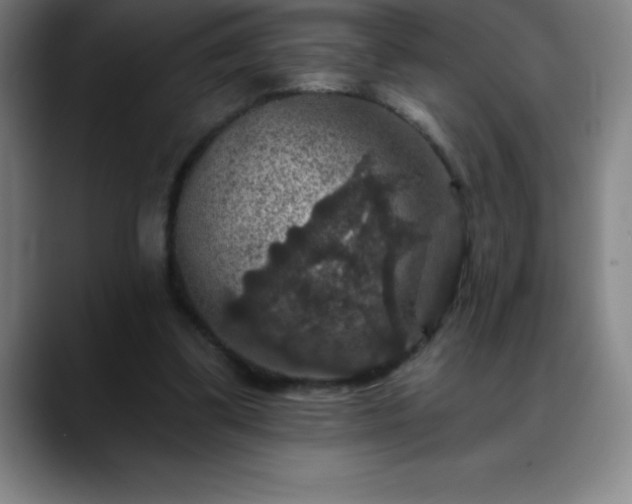 X0000088850299200706151722