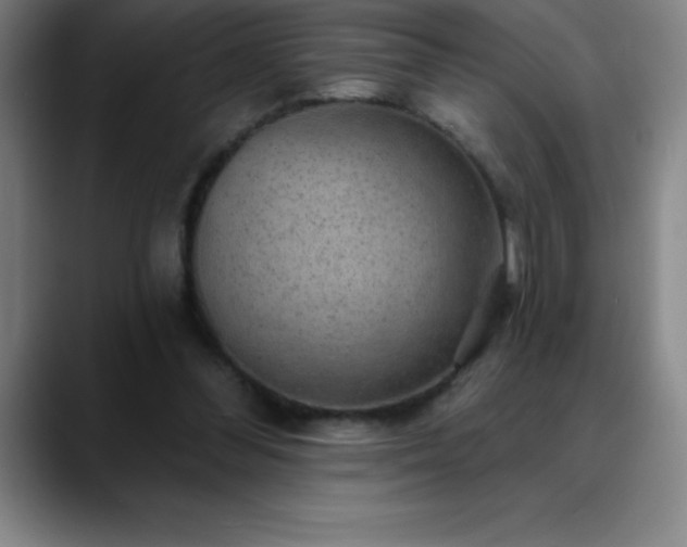 X0000088850300200706151722