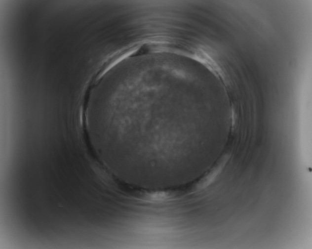 X0000088850301200706151722