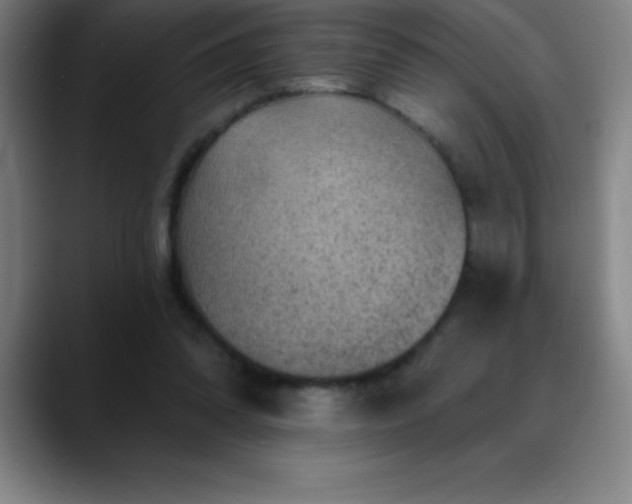 X0000088850302200706151722