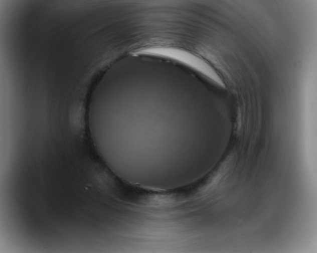 X0000088850303200706151722