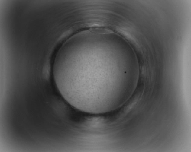 X0000088850304200706151722