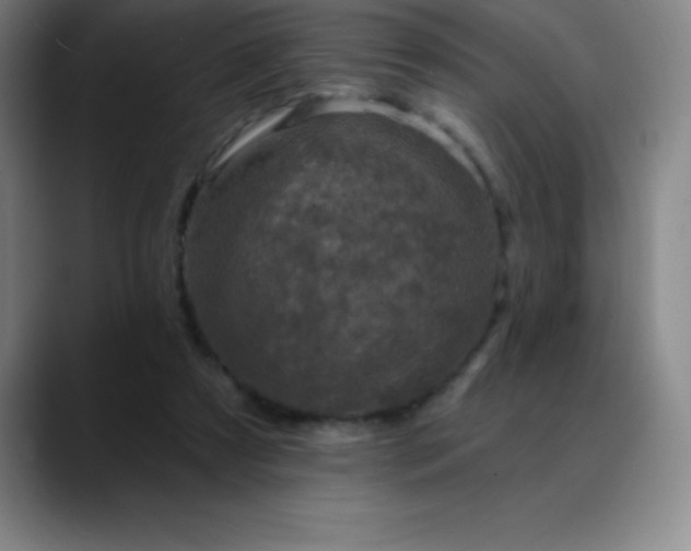 X0000088850305200706151722