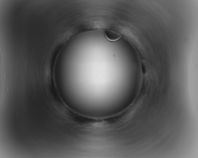 X0000088850306200706151722