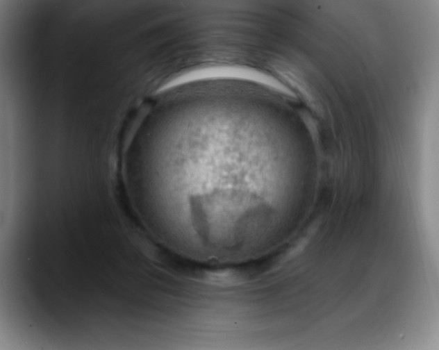 X0000088850309200706151722