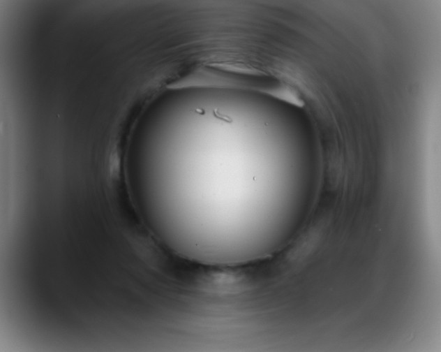 X0000088850310200706151722