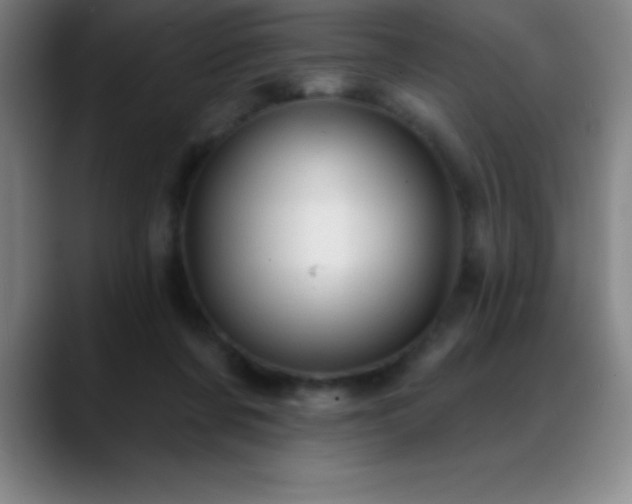 X0000088850311200706151722