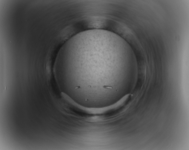 X0000088850312200706151722