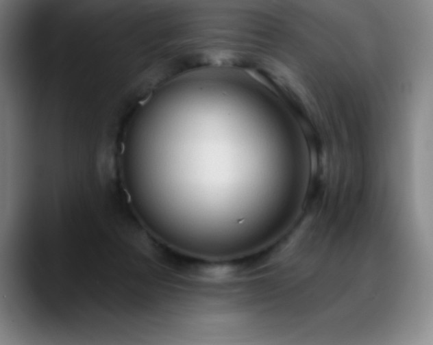 X0000088850313200706151722