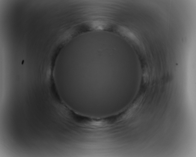 X0000088850314200706151722