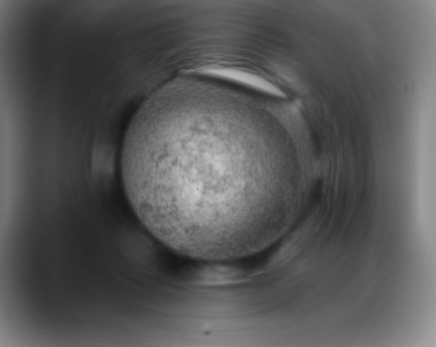 X0000088850315200706151722