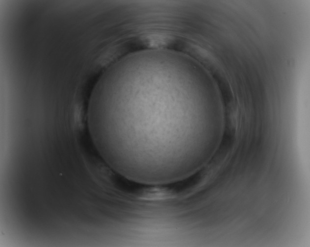 X0000088850316200706151722