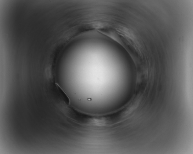 X0000088850317200706151722