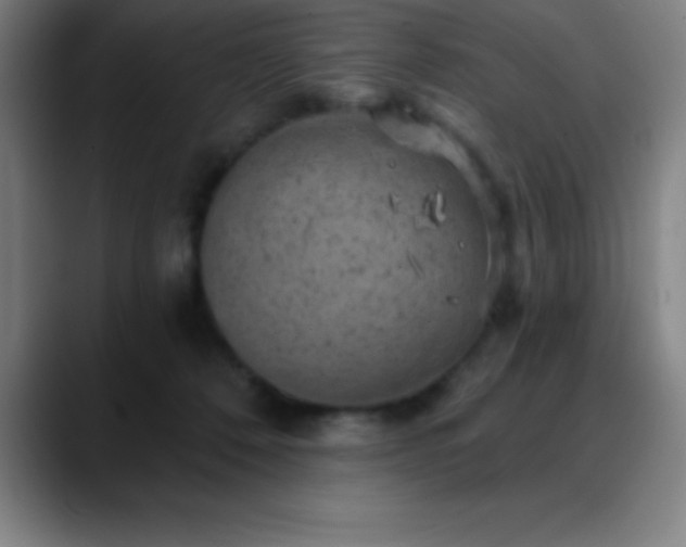 X0000088850320200706151722