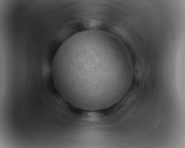 X0000088850324200706151722