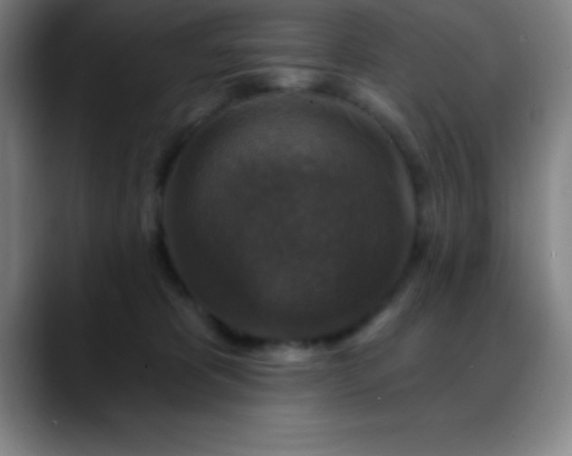 X0000088850325200706151722