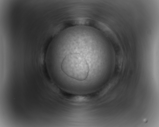 X0000088850326200706151722