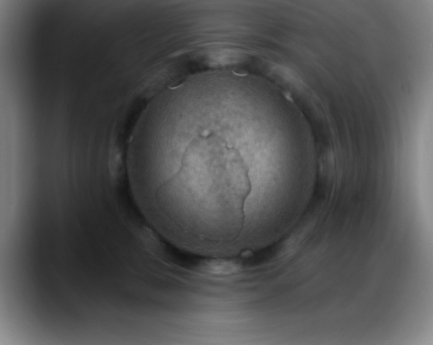 X0000088850327200706151722