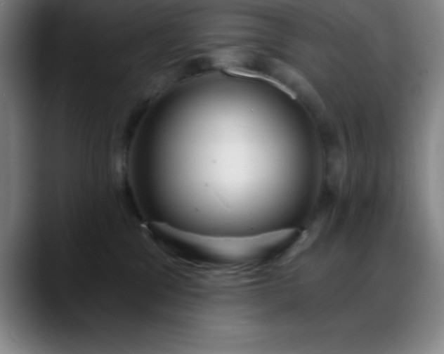 X0000088850329200706151722