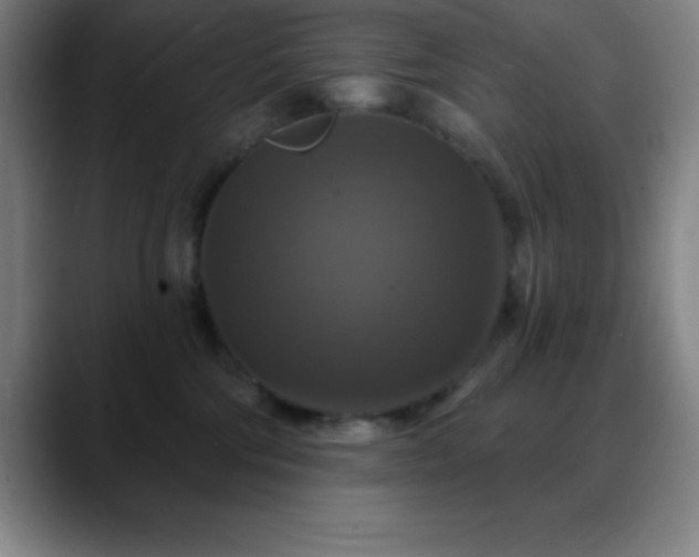 X0000088850330200706151722