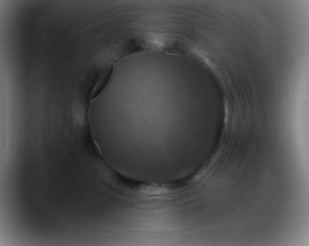 X0000088850331200706151722