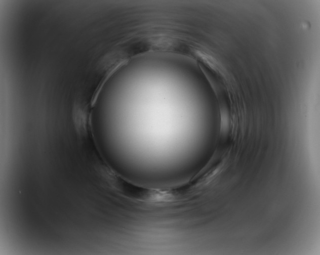 X0000088850333200706151722