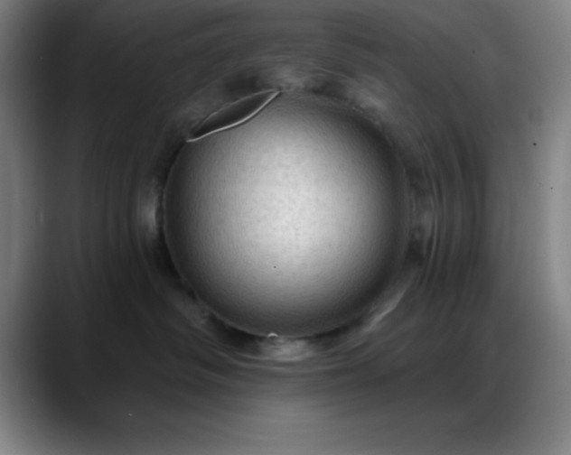 X0000088850334200706151722