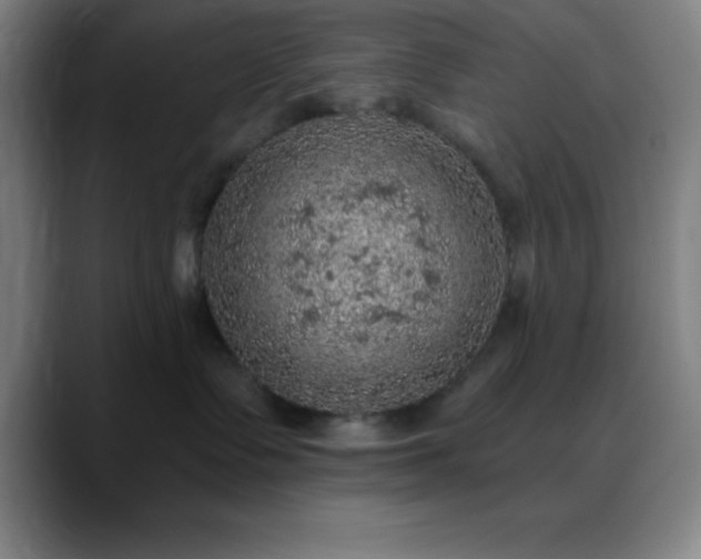 X0000088850335200706151721