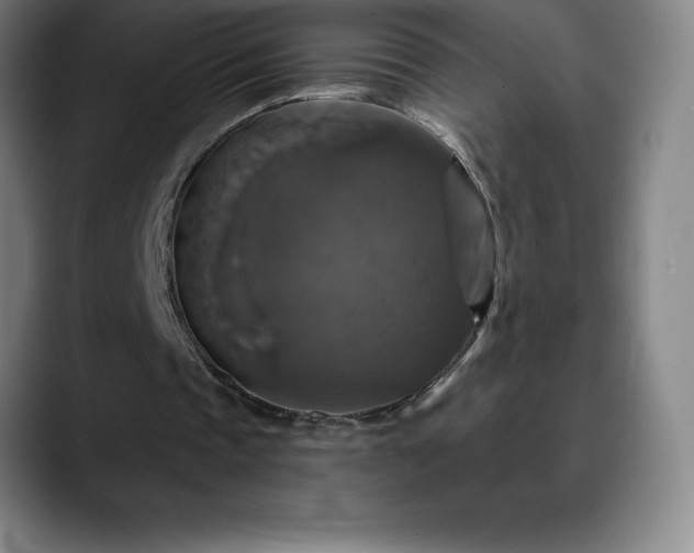 X0000088850337200706151721