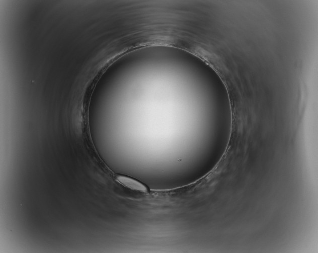 X0000088850338200706151721