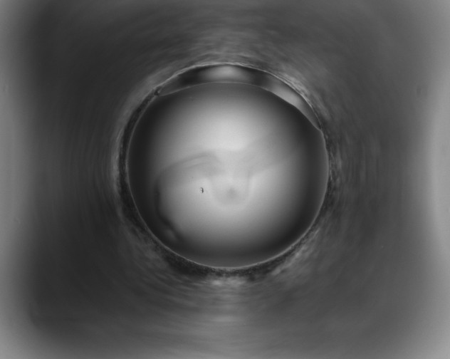 X0000088850340200706151721