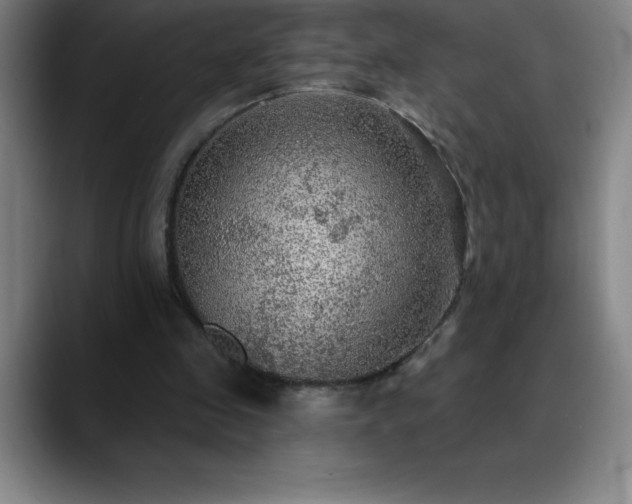 X0000088850341200706151721