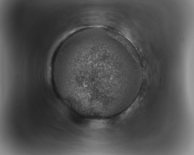 X0000088850342200706151721