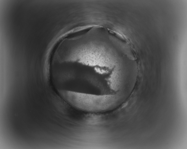 X0000088850343200706151721