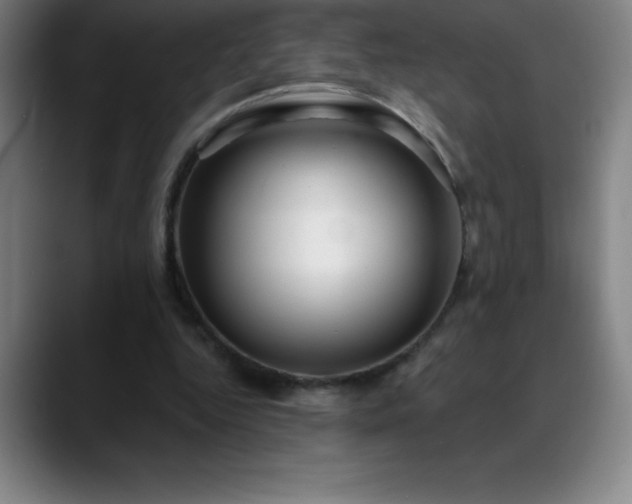 X0000088850344200706151721