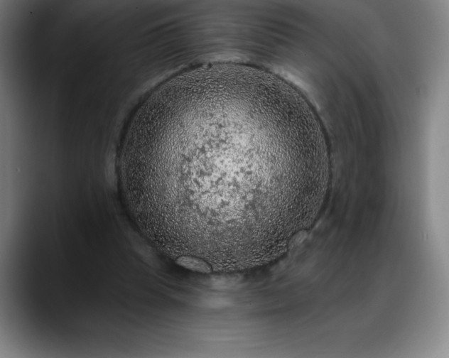 X0000088850345200706151721