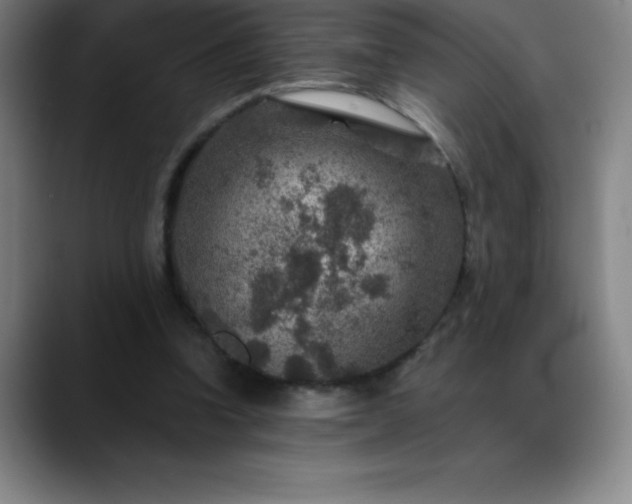 X0000088850346200706151721