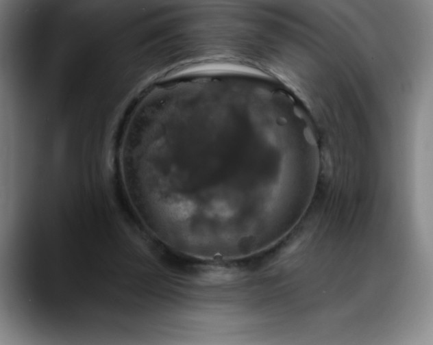 X0000088850347200706151721