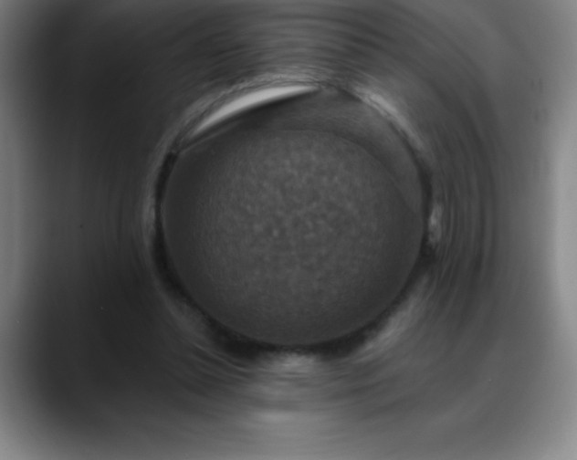 X0000088850348200706151721