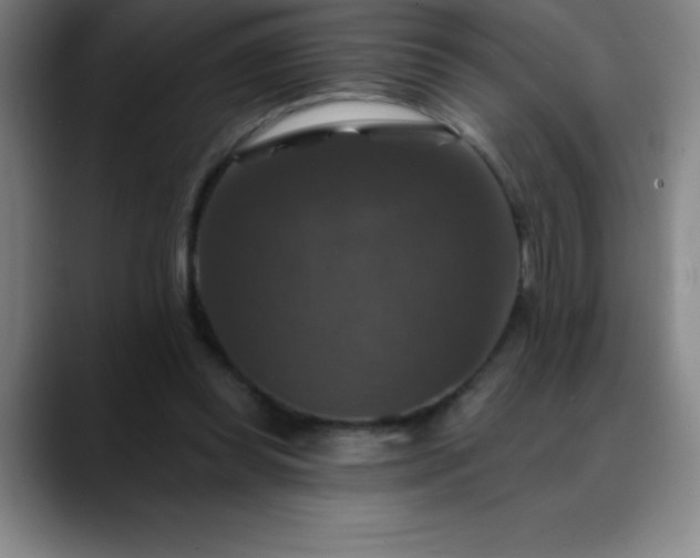 X0000088850349200706151721