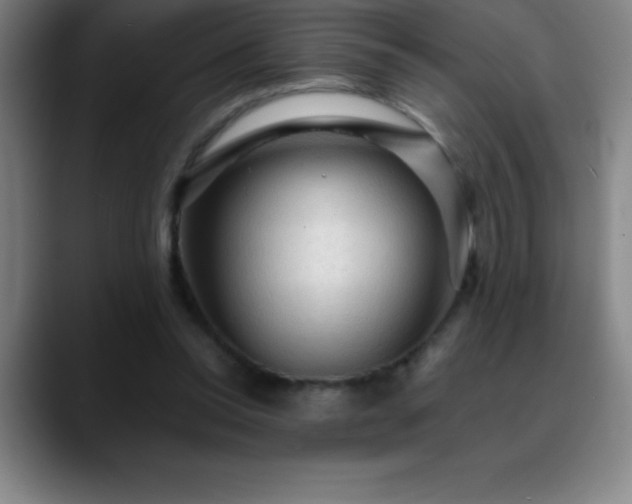 X0000088850350200706151721