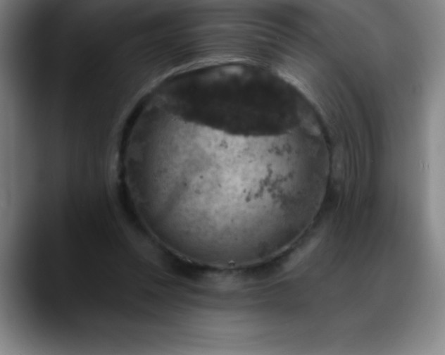 X0000088850351200706151721