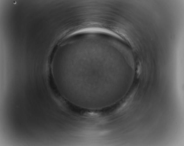 X0000088850352200706151721