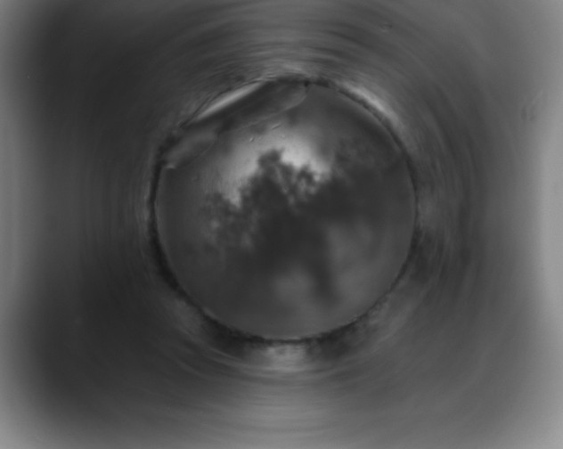 X0000088850353200706151721