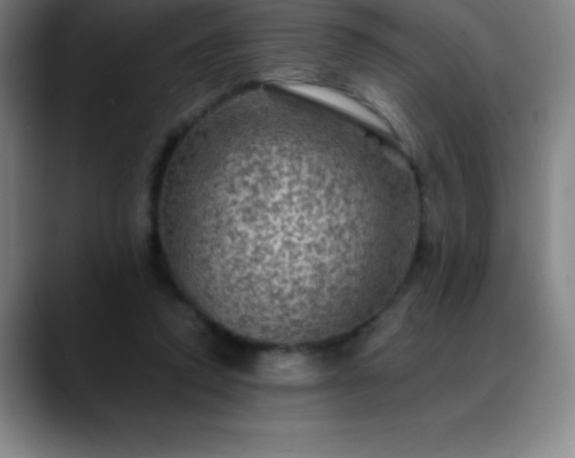 X0000088850354200706151721