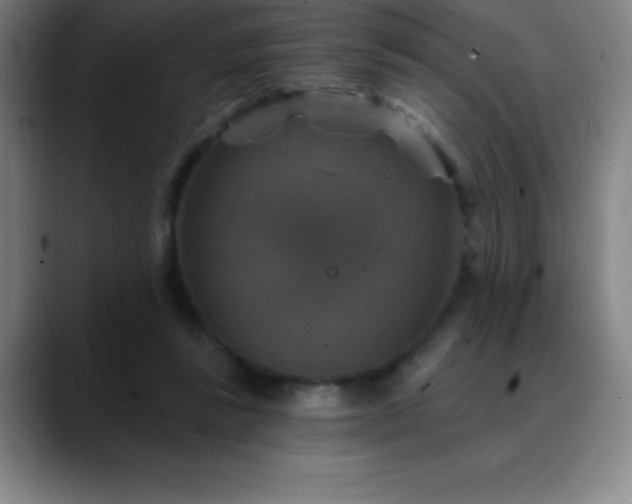 X0000088850355200706151721